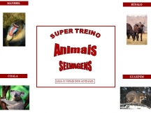 Super Treino - Animais